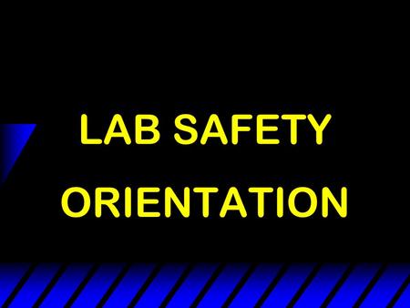 LAB SAFETY ORIENTATION Safety Means - - No Accidents.