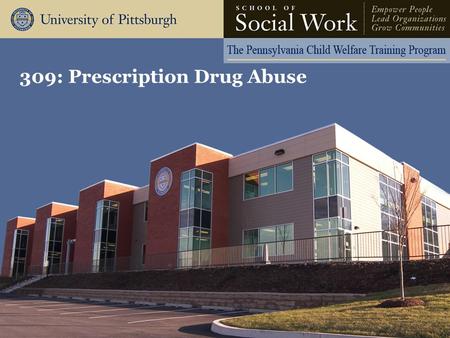 309: Prescription Drug Abuse. The Pennsylvania Child Welfare Resource Center Learning Objectives Participants will be able to: –Associate the history.