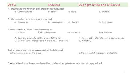 20-XC Enzymes Due right at the end of lecture