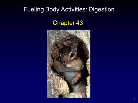 1 Fueling Body Activities: Digestion Chapter 43. 2 Outline Types of Digestive Systems – Vertebrate Digestive Systems  The Mouth and Teeth  Esophagus.