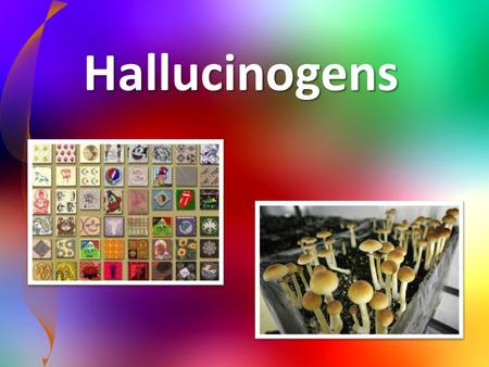 Hallucinogens. Hallucinogens- Any drug that causes a person to hallucinate (see or hear things that are not there). – The effects are often referred to.