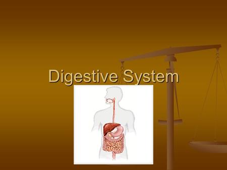 Digestive System. Do It Now 1. What are the two functions of an animal digestive system? (2 points) 2. Write the following in correct order and briefly.