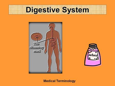 Digestive System Medical Terminology. Structures Lips (cheil/o) Mouth (stomat/o0 Tongue (gloss/o; lingu/o) Salivary glands –Sublingual –Submandibular.