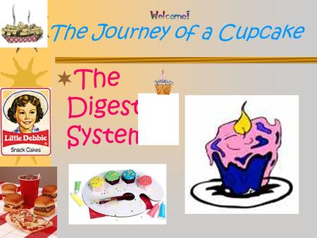 The Journey of a Cupcake