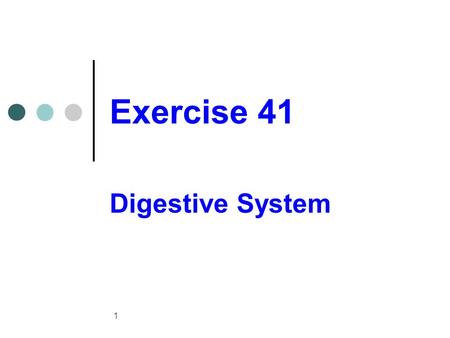 Exercise 41 Digestive System.