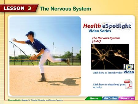 The Nervous System (2:44) Click here to launch video Click here to download print activity.