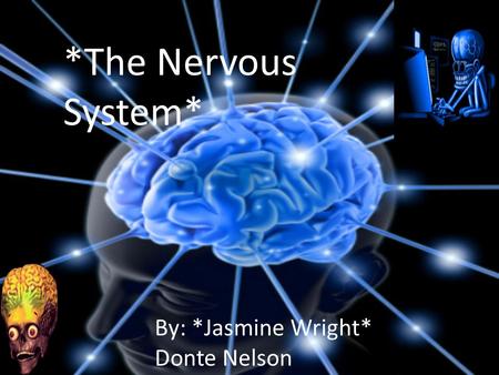 *The Nervous System* By: *Jasmine Wright* Donte Nelson.