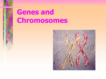 Genes and Chromosomes. DNA: The Molecule of Heredity Scientists have found that the substance Deoxyribosenucleic Acid (DNA), contained in chromosomes,