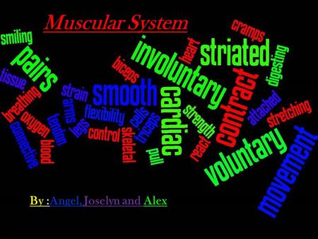 By :Angel, Joselyn and Alex Muscular System. Table Of Contents The role of the muscular system in the human body #3 Major organs in the muscular system.