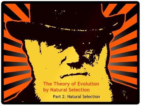 The Theory of Evolution by Natural Selection Part 2: Natural Selection.