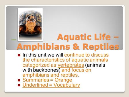 Aquatic Life – Amphibians & Reptiles In this unit we will continue to discuss the characteristics of aquatic animals categorized as vertebrates (animals.