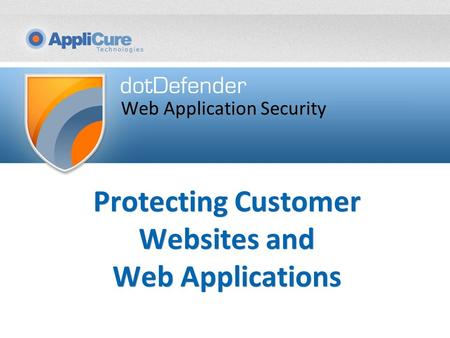 Protecting Customer Websites and Web Applications Web Application Security.
