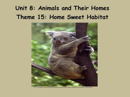 Unit 8: Animals and Their Homes Theme 15: Home Sweet Habitat