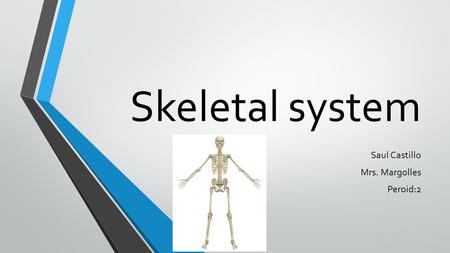 Skeletal system Saul Castillo Mrs. Margolles Peroid:2.