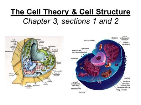 The Cell Theory & Cell Structure Chapter 3, sections 1 and 2.