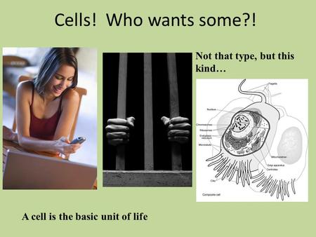 Cells! Who wants some?! Not that type, but this kind… A cell is the basic unit of life.