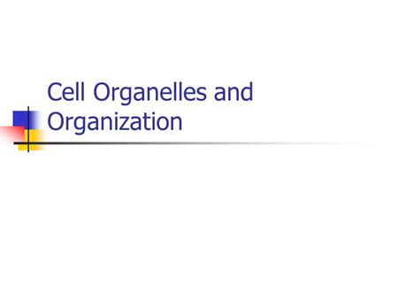Cell Organelles and Organization. What to consider? Prokaryote- organisms that lack nuclei (bacteria) Eukaryote- organisms with a nuclei (plants and animals)