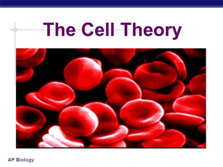 AP Biology The Cell Theory AP Biology Some Random Cell Facts  The average human being is composed of around 100 Trillion individual cells!!!  It would.