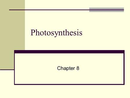 Photosynthesis Chapter 8. THE SUN: MAIN SOURCE OF ENERGY FOR LIFE ON EARTH.
