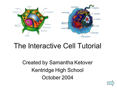 The Interactive Cell Tutorial