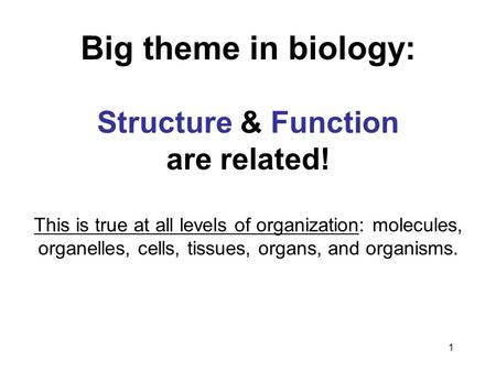 Big theme in biology: Structure & Function are related!