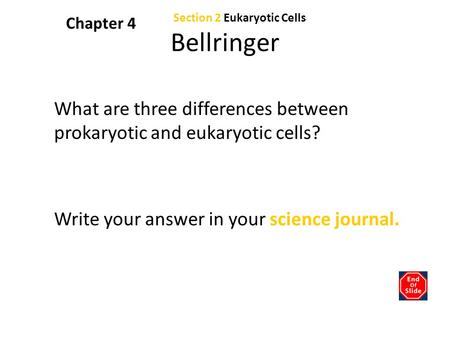 Chapter 4 Section 2 Eukaryotic Cells Bellringer