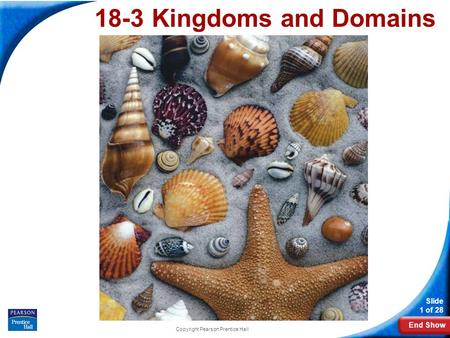 End Show Slide 1 of 28 Copyright Pearson Prentice Hall 18-3 Kingdoms and Domains.