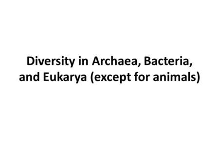 Diversity in Archaea, Bacteria, and Eukarya (except for animals)