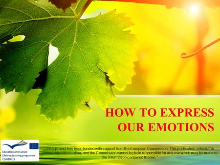 HOW TO EXPRESS OUR EMOTIONS “This project has been funded with support from the European Commission. This publication reflects the views only of the author,