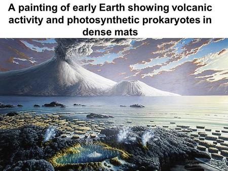 A painting of early Earth showing volcanic activity and photosynthetic prokaryotes in dense mats.