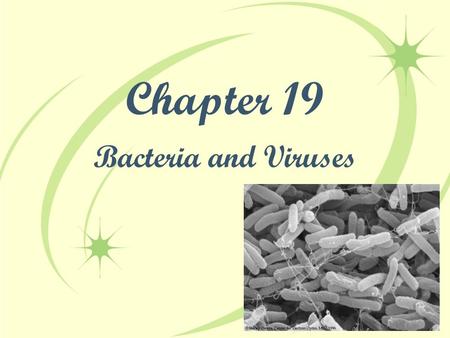 Chapter 19 Bacteria and Viruses.