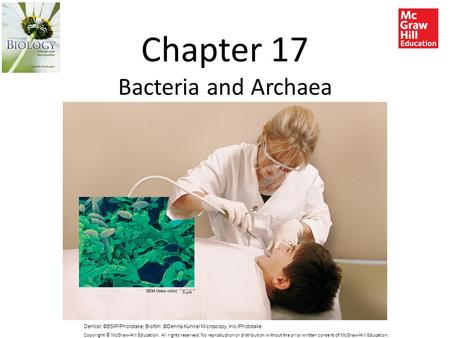 Chapter 17 Bacteria and Archaea Dentist: ©BSIP/Phototake; Biofilm: ©Dennis Kunkel Microscopy, Inc./Phototake Copyright © McGraw-Hill Education. All rights.