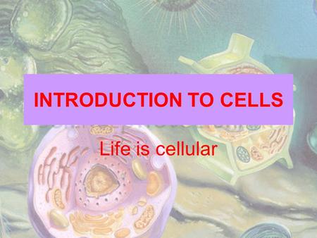 INTRODUCTION TO CELLS Life is cellular.