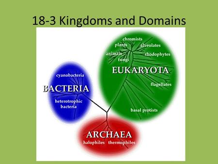 18-3 Kingdoms and Domains.