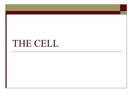 THE CELL. Definition of Cell A cell is the smallest unit that is capable of performing life functions.