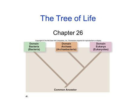 The Tree of Life Chapter 26. 2 Origins of Life The Earth formed as a hot mass of molten rock about 4.5 billion years ago (BYA) -As it cooled, chemically-rich.