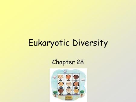 Eukaryotic Diversity Chapter 28. Protists Protists – eukaryotes; more complex than prokaryotes. 1 st – unicellular - called protists – in 1 big kingdom.
