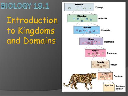 Introduction to Kingdoms and Domains