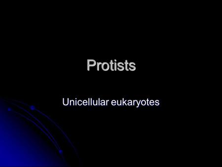 Unicellular eukaryotes