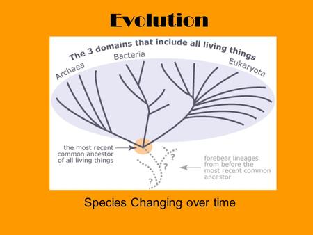Evolution Species Changing over time. Charles Darwin Evolution by Means of Natural Selection.