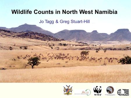 Wildlife Counts in North West Namibia