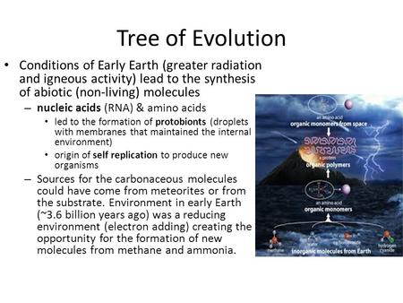 Tree of Evolution Conditions of Early Earth (greater radiation and igneous activity) lead to the synthesis of abiotic (non-living) molecules – nucleic.