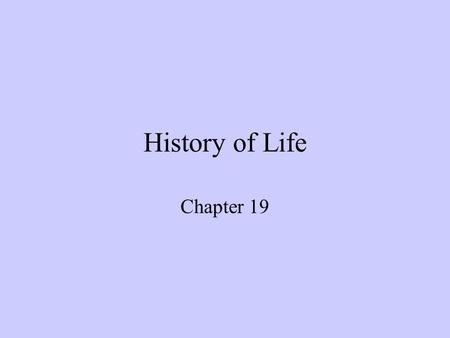 History of Life Chapter 19.