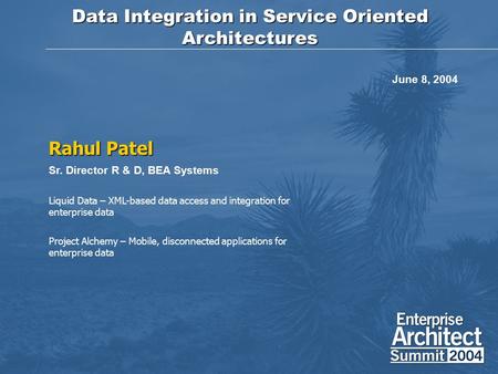 Data Integration in Service Oriented Architectures Rahul Patel Sr. Director R & D, BEA Systems Liquid Data – XML-based data access and integration for.