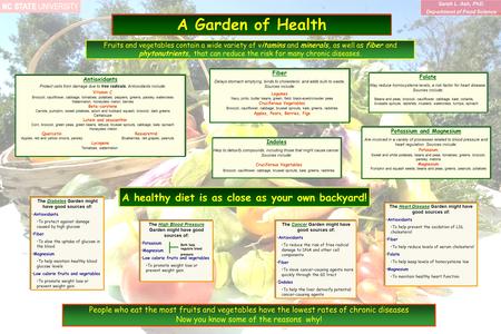 A Garden of Health The Diabetes Garden might have good sources of: Antioxidants To protect against damage caused by high glucose Fiber To slow the uptake.