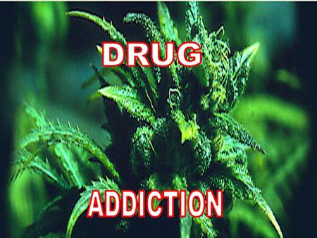 Definition: Drug addiction involves compulsively seeking to use a substance, regardless of the potentially negative social, psychological and physical.