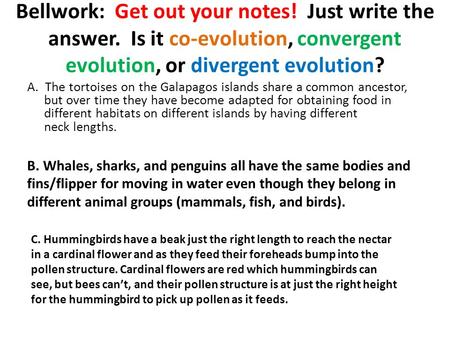 Bellwork: Get out your notes! Just write the answer. Is it co-evolution, convergent evolution, or divergent evolution? A. The tortoises on the Galapagos.