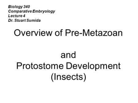 Overview of Pre-Metazoan and Protostome Development (Insects)