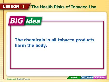 The chemicals in all tobacco products harm the body.