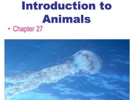 Introduction to Animals Chapter 27Chapter 27 Section 25.1 Summary – pages 673 - 679 heterotrophic1. One characteristic common to all animals is that.